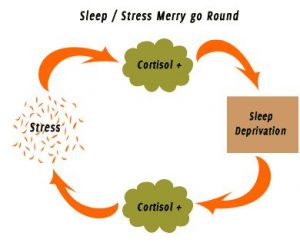 Stay-Healthy-by-Getting-Enough-Sleep-cortisol